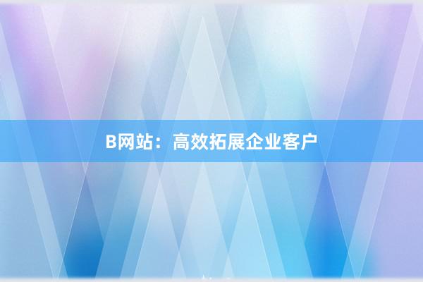 B网站：高效拓展企业客户