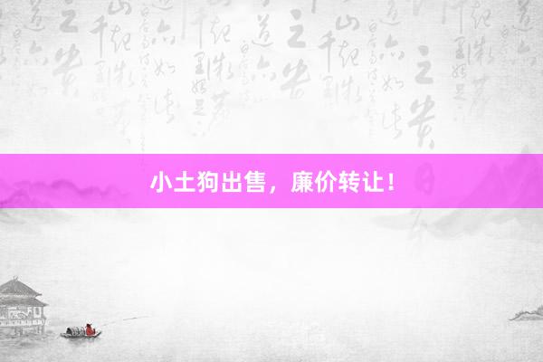 小土狗出售，廉价转让！
